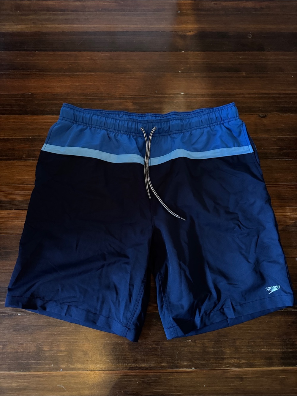 Speedo Men’s Navy and Light Blue Colorblock Swim Trunks